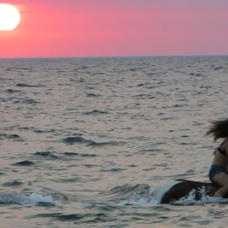 Stajnia Horyzont Jarosławiec