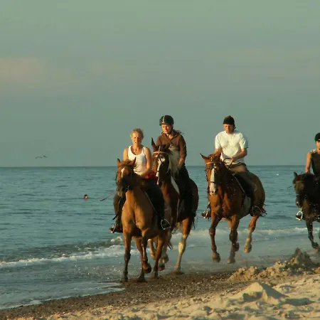 Stajnia Horyzont Jarosławiec